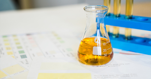 Services continus de R&D et de partage de nouveaux produits